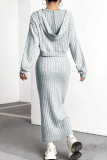 Light Gray Casual Solid Color Patchwork V Neck Long Sleeve Two Pieces