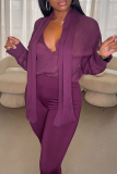 Purple Sheer Tie Blouse Flared Pants Stylish Elegant Two-piece Set