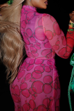 Rose Red Printed Turtleneck Maxi Dress Tie Waist Sheer Mesh Gown