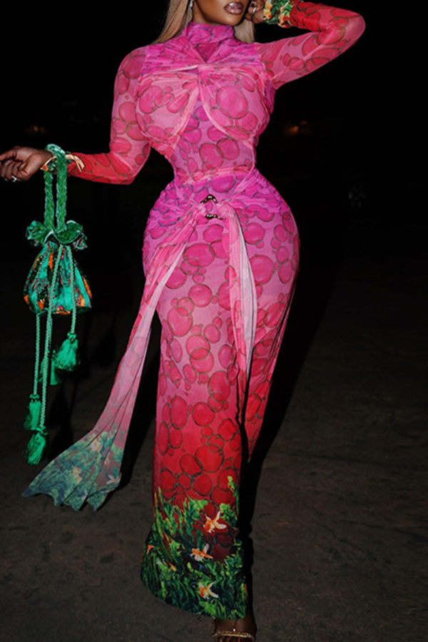 Rose Red Printed Turtleneck Maxi Dress Tie Waist Sheer Mesh Gown