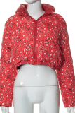 Blue Paisley Reversible Cropped Puffer Jacket Stand-Collar Zip Coat