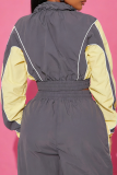 Grey Color-Block Stripe Cropped Jacket & Wide-Leg Pants Set Casual Sporty Two-Piece Outfit