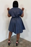 Deep Blue Casual Solid Color Turndown Collar A Line Dresses