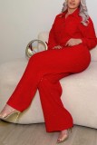 Milky White Casual Daily Solid Color Turndown Collar Long Sleeve Two Pieces