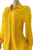 Milky White Casual Daily Solid Color Turndown Collar Long Sleeve Two Pieces