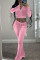 Pink Casual Solid Split Joint Zipper Collar Long Sleeve Two Pieces