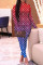 Multicolor Fashion Casual Print Basic Turtleneck Long Sleeve Two Pieces