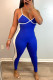 Blue Sexy Casual Solid Patchwork Backless Spaghetti Strap Skinny Jumpsuits
