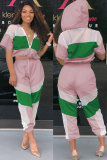 Pink Polyester Fashion Sexy Print Patchwork Mesh Straight Two-piece Pants Set