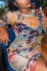 Colour Sexy Print See-through Mesh O Neck Wrapped Skirt Dresses