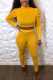 Yellow Casual Sportswear Solid Turtleneck Long Sleeve Pile Up Sleeves Regular Two Pieces