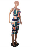 Multicolor Fashion Casual Print Hollowed Out V Neck Vest Dress