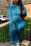 Blue Casual Daily Solid Turtleneck Plus Size 
