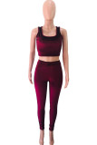 Wine Red Velvet Fashion Casual adult Ma'am Patchwork Solid Two Piece Suits Straight Sleeveless Two Pieces