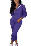 purple Casual Polyester Solid Split Joint Hooded Collar Long Sleeve Regular Sleeve Regular Two Pieces