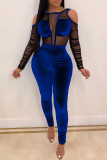 Blue Sexy Mesh Patchwork Solid velvet Long Sleeve O Neck