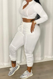 White Casual Solid Patchwork Mandarin Collar Long Sleeve Two Pieces