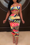 Multicolor Sexy Casual Print Basic U Neck Sleeveless Two Pieces