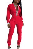 Red Fashion Casual Adult Polyester Solid Split Joint Turndown Collar Long Sleeve Regular Sleeve Regular Two Pieces