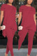Wine Red Elegant Polyester Solid O Neck Two Pieces