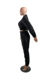 Blue Fashion Casual Solid Basic Turndown Collar Long Sleeve Two Pieces