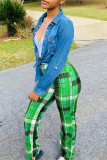 Green Fashion Casual Plaid Print Basic Regular High Waist Trousers