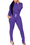 purple Solid Patchwork pencil Long Sleeve