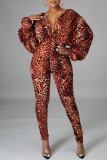 Leopard Print Fashion Sexy Leopard Backless V Neck Regular Jumpsuits