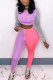 Pink Casual Solid Patchwork O Neck Long Sleeve Two Pieces