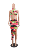 Multicolor Sexy Print High Opening Halter Sleeveless Two Pieces