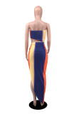 Multicolor Fashion Sexy Print Backless Asymmetrical Strapless Sleeveless Two Pieces