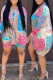 Multicolor Fashion Casual Print Asymmetrical Turndown Collar Shirt Dress