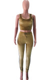Gold Velvet Fashion Casual adult Ma'am Patchwork Solid Two Piece Suits Straight Sleeveless Two Pieces