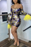 Yellow Sexy Mesh Perspective Long Sleeve Dress