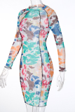Colour Sexy Print See-through Mesh O Neck Wrapped Skirt Dresses