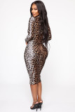 Leopard print Polyester Fashion adult Sexy Cap Sleeve Long Sleeves Turtleneck Step Skirt Mid-Calf Patchwork Print