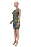 Green Fashion Sexy Print See-through O Neck Sleeveless Dress