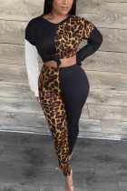 Black Casual Leopard Split Joint O Neck Long Sleeve Two Pieces