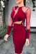 Wine Red Sexy Patchwork Mesh O Neck Pencil Skirt Dresses