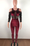 Purple Sexy Mesh Patchwork Solid velvet Long Sleeve O Neck