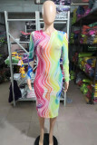 Colour Fashion Sexy Print See-through O Neck Long Sleeve Dresses