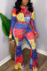Colour Work Daily Print O Neck Long Sleeve Two Pieces