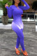 Blue Elegant Gradual Change Print O Neck Long Sleeve Two Pieces
