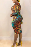Colour Sexy Print Fold V Neck Wrapped Skirt Dresses