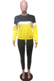 Yellow Casual Color Block Patchwork Half A Turtleneck Sleeveless Two Pieces