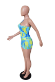 Sky Blue Sexy Print Ripped Patchwork Swimwears
