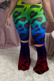 Turquoise Elastic Fly Mid Print Boot Cut Pants Bottoms