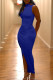 Deep Blue Fashion Sexy Solid Slit Half A Turtleneck Sleeveless Dress