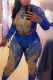 Blue Fashion Casual Print Basic Hooded Collar Long Sleeve Two Pieces