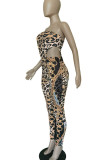 Gold Street Print pencil Sleeveless Two Pieces